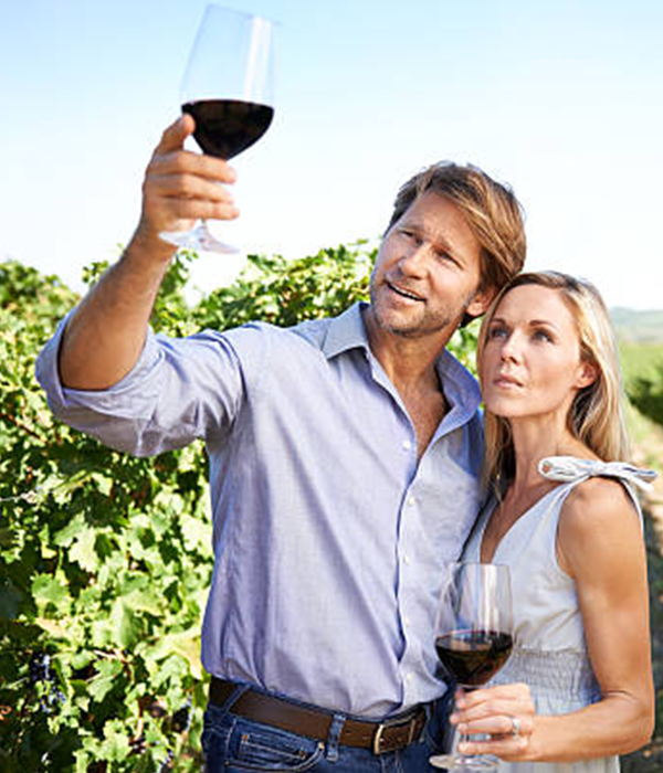 Rutas del Vino – García Fernández Turismo